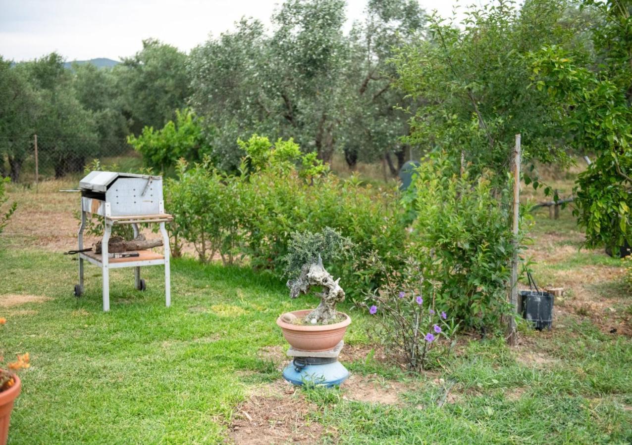 Appartamento Agrikia Tis Vasilikis Ormília Esterno foto