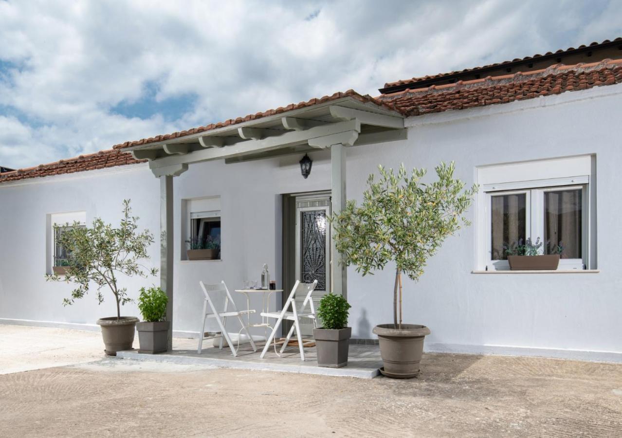 Appartamento Agrikia Tis Vasilikis Ormília Esterno foto
