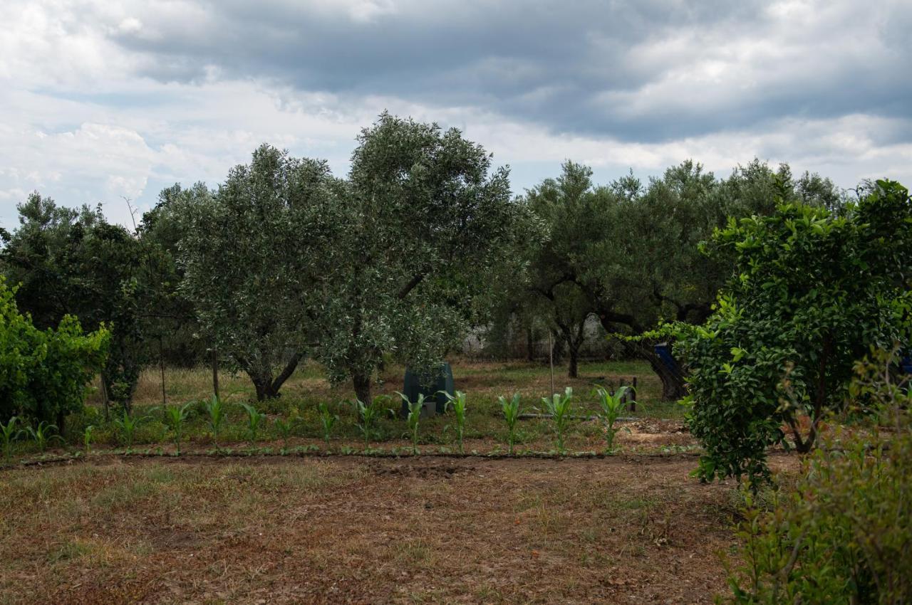 Appartamento Agrikia Tis Vasilikis Ormília Esterno foto