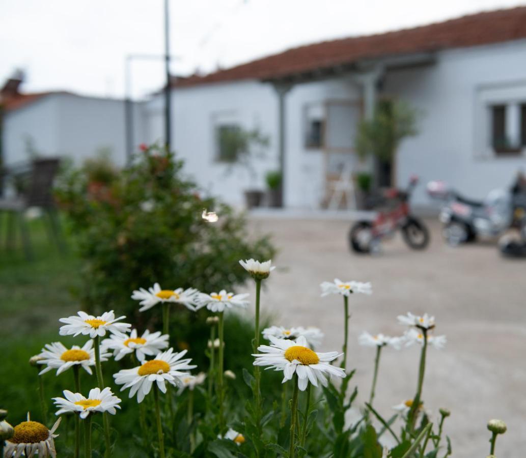 Appartamento Agrikia Tis Vasilikis Ormília Esterno foto
