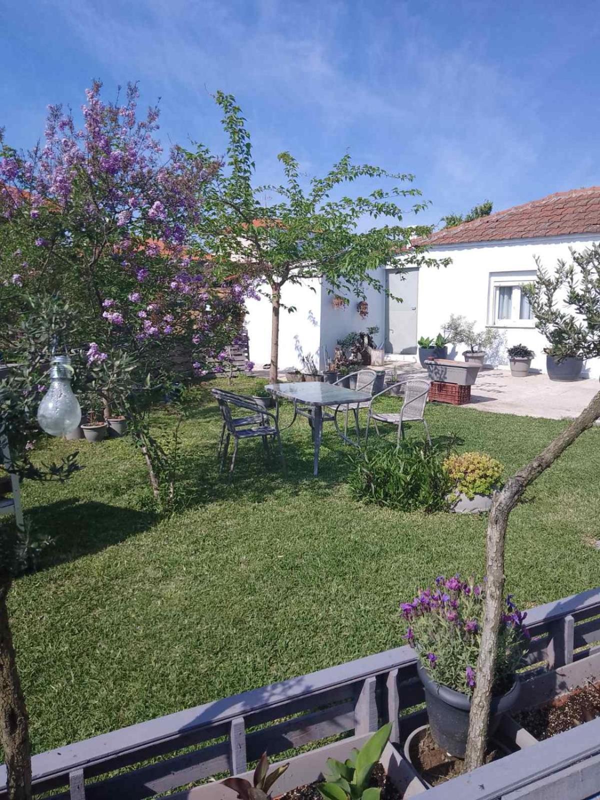 Appartamento Agrikia Tis Vasilikis Ormília Esterno foto